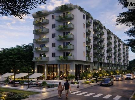 Orchid Casel de Paradise.