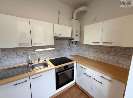 Pronájem bytu, 2+1, 55 m²