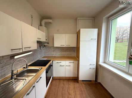 Pronájem bytu, 2+1, 55 m²