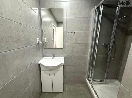 Pronájem bytu, 1+1, 37 m²