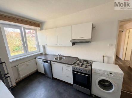 Pronájem bytu, 1+1, 39 m²