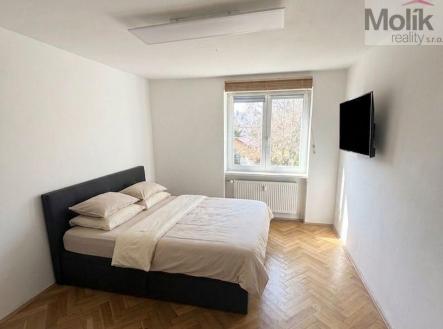 Pronájem bytu, 1+1, 39 m²