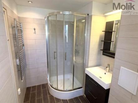 Pronájem bytu, 1+1, 39 m²