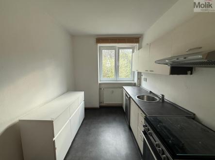 Pronájem bytu, 1+1, 39 m²