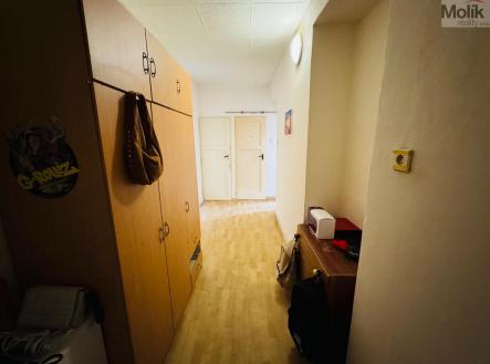 Prodej bytu, 2+1, 55,7 m²