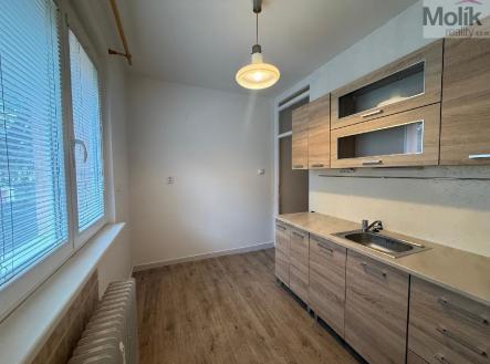 Pronájem bytu, 1+1, 35 m²