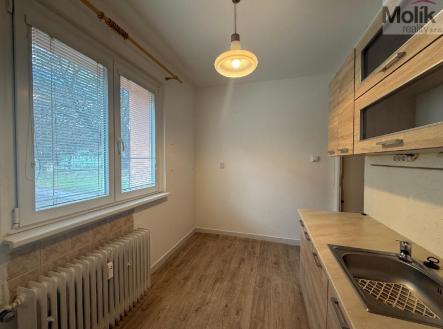 Pronájem bytu, 1+1, 35 m²