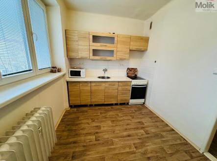 Pronájem bytu, 1+1, 37,5 m²