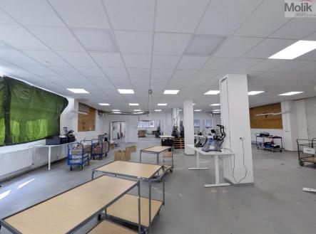 Pronájem výrobní prostor, 1 185 m²