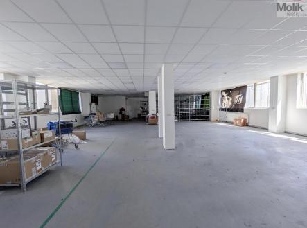 Pronájem výrobní prostory, 1 185 m²