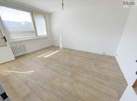 Pronájem bytu, 1+1, 28 m²