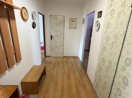 WhatsApp Image 2026-04-16 at 10.36.55 (9).jpeg