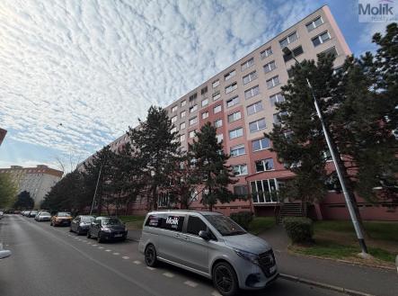 WhatsApp Image 2026-04-16 at 10.36.55.jpeg