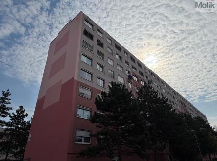 WhatsApp Image 2026-04-16 at 10.36.55 (1).jpeg