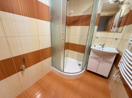 Pronájem bytu, 2+1, 52 m²