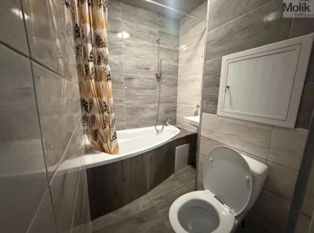 Prodej bytu, 3+1, 62 m²