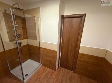 Prodej bytu, atypický, 109 m²