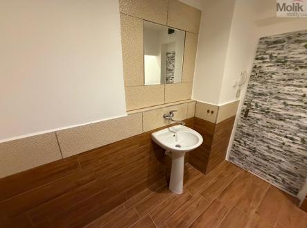 Prodej bytu, 4+1, 109 m²