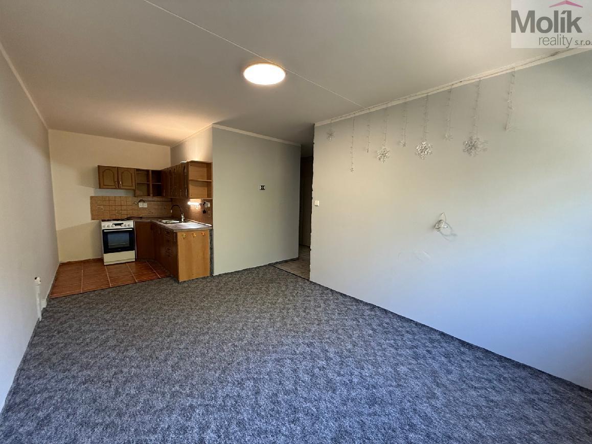 stažený soubor (1).jpg