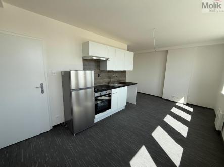 Pronájem bytu, 1+kk, 26 m²