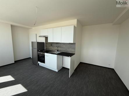 Pronájem bytu, 1+kk, 26 m²