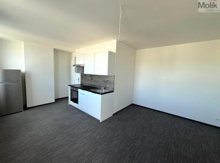 Pronájem bytu, 1+kk, 26 m²