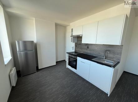 Pronájem bytu, 1+kk, 26 m² obrázek
