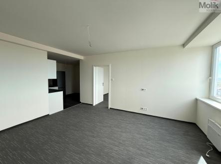 Pronájem bytu, 3+kk, 65 m²