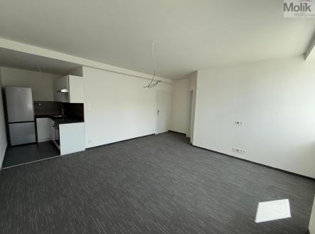 Pronájem bytu, 2+kk, 50 m²
