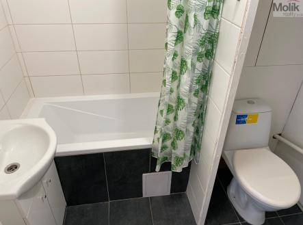 Pronájem bytu, 1+kk, 34 m²