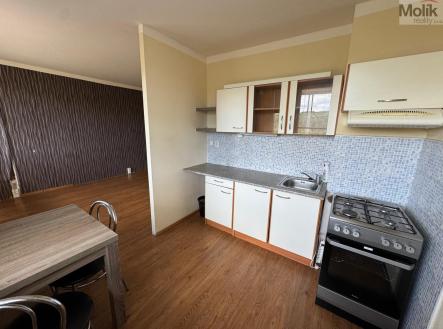 Pronájem bytu, 1+1, 33,8 m²