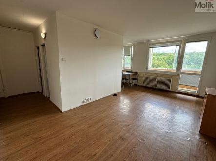 Pronájem bytu, 1+1, 33,8 m²