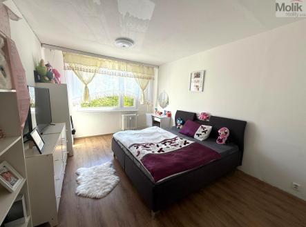 Orchid Casel de Paradise.