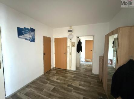 WhatsApp Image 2026-04-30 at 07.21.24 (4).jpeg