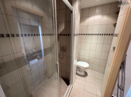Pronájem bytu, 1+1, 38 m²