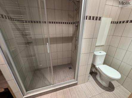 Pronájem bytu, 1+1, 38 m²