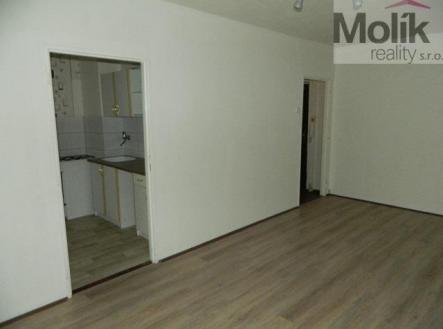 Pronájem bytu, 1+1, 34,2 m²