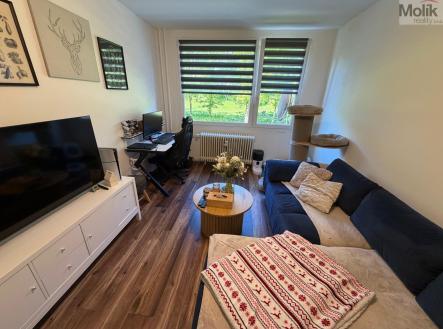 Prodej bytu, 2+kk, 39 m²