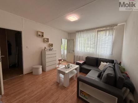 Pronájem bytu, 1+kk, 27 m²