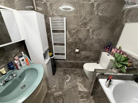 Prodej bytu, 3+1, 54 m²
