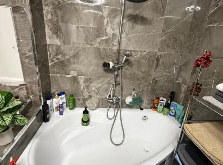 Prodej bytu, 3+1, 54 m²