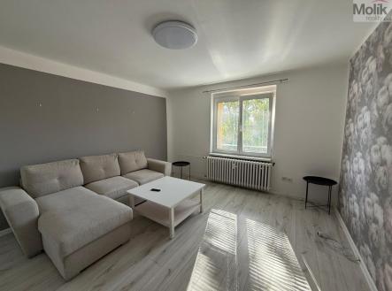 Pronájem bytu, 3+1, 60 m²