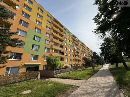 Prodej bytu, 1+1, 35 m²