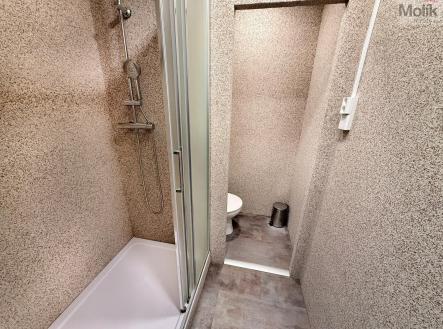 Prodej bytu, 1+1, 35 m²