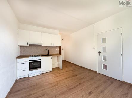 Prodej bytu, 1+1, 35 m²