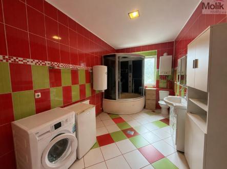 Prodej domu/vily, 360 m²