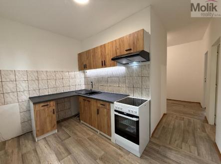 Pronájem bytu, 2+1, 54 m²