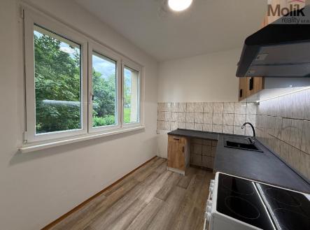Pronájem bytu, 2+1, 54 m²