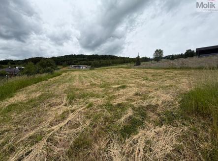 Prodej pozemku pro bydlení, 1 010 m²