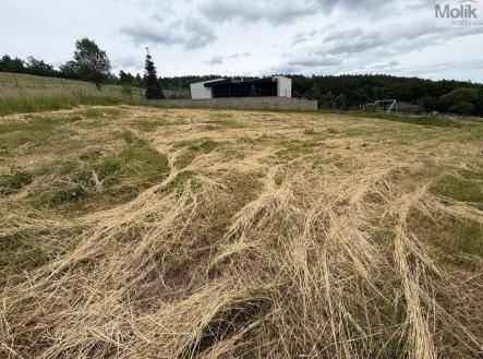 Prodej pozemku pro bydlení, 2 019 m²